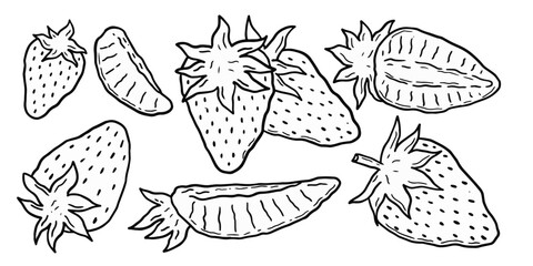 Fototapeta premium Hand drawn fresh strawberry doodle line art collection vector illustration
