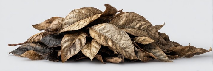 Fototapeta premium Dried leaves in various shades piled together, creating a textured natural arrangement