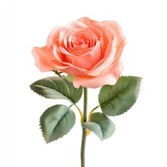 Single peach rose with green leaves on a stem, isolated against white