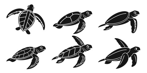 Fototapeta premium Six Stylized Black Sea Turtles Swimming