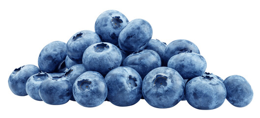 Blueberry isolated on white background, full depth of field