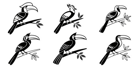 Obraz premium Stylized Black and White Toucan Bird Illustrations on Branches