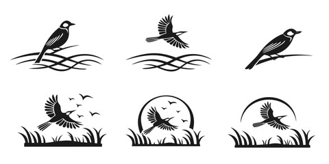 Stylized Black Bird Silhouettes in Nature Scenes