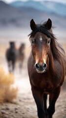 Obraz premium Wild horses roaming in the open landscape of a desert valley during golden hour