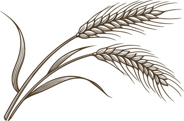 Eco Agriculture Elements Illustration. Organic Farming Vector Design. Green Energy and Eco Icons. Sustainable Agriculture Concept Art. Natural Farming and Plant Elements. Environmental Eco Elements