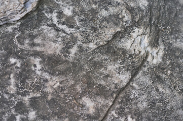 Close Up of a Rough Textured Rock Surface with Natural Patterns and Speckled Details Showing Earthy Tones and Geological Formations