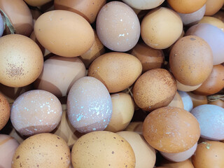 68 fresh chicken eggs ready for sale