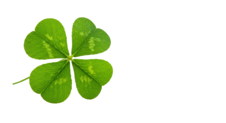 A single, perfectly formed, vibrant green four-leaf clover, isolated on an immaculate, transparent, high-key studio background with copy space, concept of rare opportunity