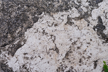 Close-up textured surface of rough weathered stone with organic patterns and natural imperfections revealing a stark contrast between dark and light areas