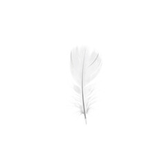 A single, transparent feather with intricate, delicate details, floating weightlessly against a transparent, shadowless void, conveying natural lightness and pristine purity concept