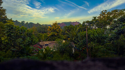 landscape view of a tropical countryside with lush green trees, dense vegetation, and a small house partially hidden among the foliage. A distant rocky hill is visible under a bright blue sky