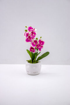 Elegant artificial magenta and white orchid in a ceramic pot, isolated on a clean white background for feminine decor.