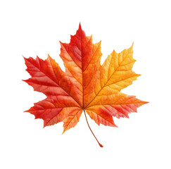 Captivating autumn leaf display nature digital vibrant colors isolated on transparent background, png