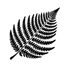 Black and white vector silhouette of a Willow leaf on a white background 
