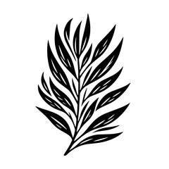 Black and white vector silhouette of a Willow leaf on a white background 