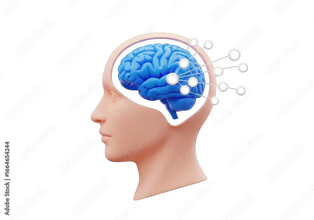 Aufkleber a 3d illustration of a human head with a visible brain and neural network, emphasizing cognitive fun