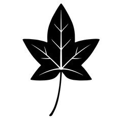 Black and white vector silhouette of a Ivy leaf on a white background  