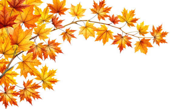 Maple Tree Branch in Autumn Corner Border Isolated on White Background