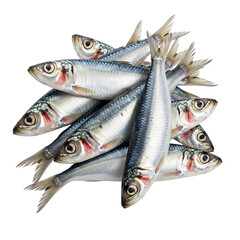 Fototapeta premium A pile of fresh sardines, also known as pilchards or sprats, isolated on a transparent background, showcasing a healthy source of protein and omega3 fatty acids for culinary use