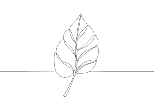 Monochrome Illustration Single Leaf on Black Background isolated on transparent background