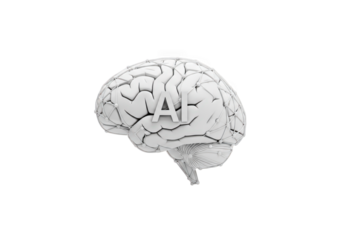 Artificial Intelligence Brain Network: A 3D Rendered Model of Neural Connections and Cognitive Function, Representing Advanced Technology and Machine Learning Concepts