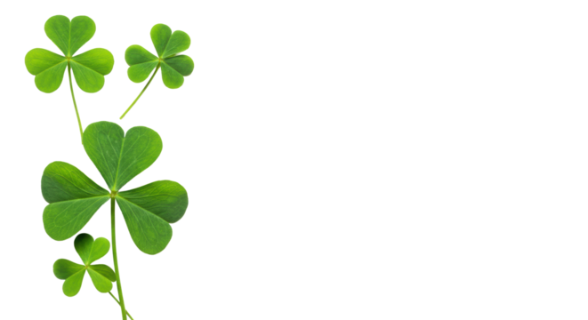 Lush vibrant green three and four-leaf clovers, fresh, crisp, on a pristine transparent background with subtle shadows and ample copy space, concept of natural luck and well-being - Powered by Adobe