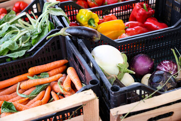Wooden boxes with various vegetables: carrots, beets, peppers and aubergines