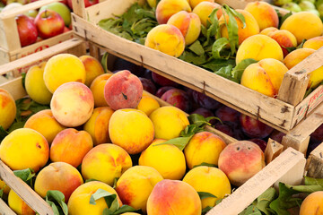 Wooden crates with yellow peaches.