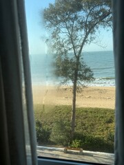 view from the window