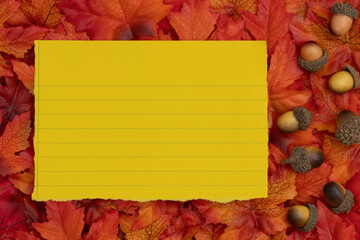 Blank lined paper with fall leaves for autumn season themes