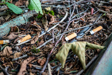 Zigarettenabfall in der Natur neben einem Wanderweg, Cigarette waste in nature next to a hiking trail