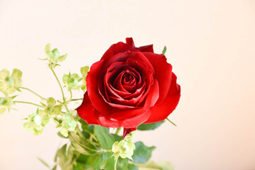 赤薔薇とエクレール