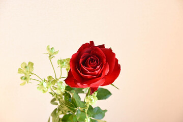 赤薔薇とエクレール