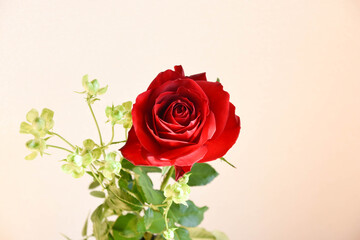赤薔薇とエクレール