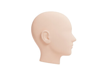 A Realistic 3D Render of a Human Head Profile on a Transparent Background, Ideal for Medical, Educational, and Design Projects Requiring Anatomical Accuracy