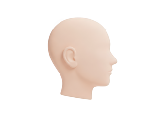 A Realistic 3D Render of a Human Head Profile on a Transparent Background, Ideal for Medical, Educational, and Design Projects Requiring Anatomical Accuracy
