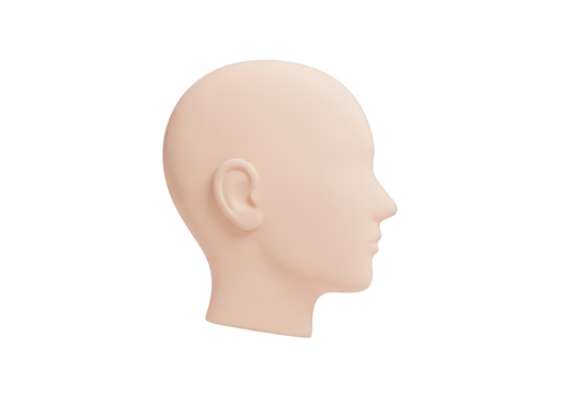 A Realistic 3D Render of a Human Head Profile on a Transparent Background, Ideal for Medical, Educational, and Design Projects Requiring Anatomical Accuracy
