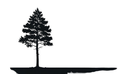 Silhouette of a Tall Pine Tree Against a Dark Night Sky with Sparkling Stars