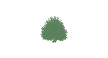 Green Tree Silhouette on Transparent Background in Minimalist Style