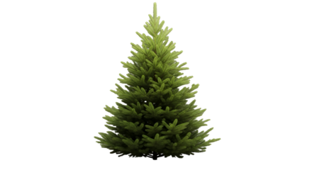 Small Green Christmas Tree with Dense Branches on Transparent Background