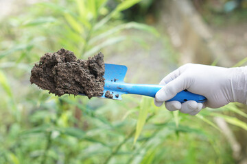 Hand in glove holding soil sample with a blue shovel for quality inspection, testing fertility and...