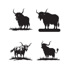 Black white silhouette wild yak