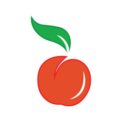 Orange fruit illustrations designs icons