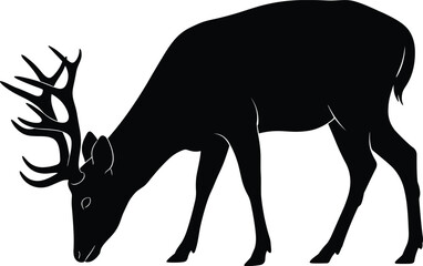 Deer silhouette, stag with antlers, black vector, grazing deer, wildlife silhouette, forest animal, nature illustration, white background, side profile
