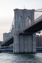 미국 여행 이야기