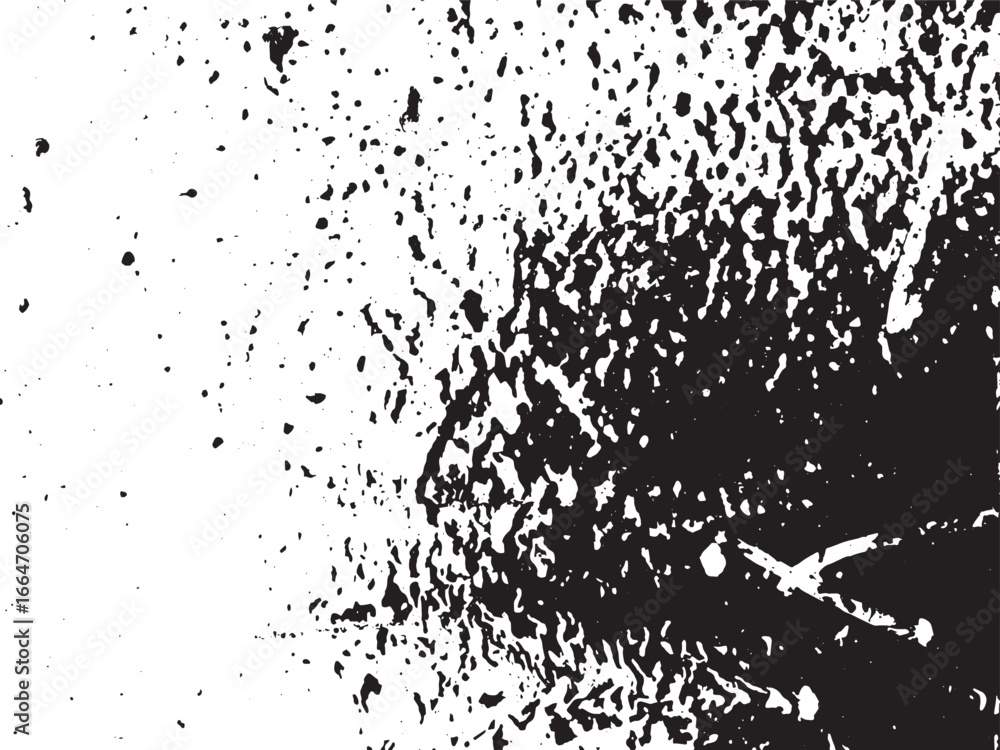 Poster a black and white image showcases an abstract splatter pattern, offering chaotic textures and blurre