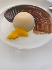 legant plated dessert with a dome-shaped vanilla mousse served with a rich chocolate sauce swipe and a portion of bright yellow mango puree