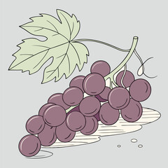 Fototapeta premium Illustration of a cluster of purple grapes with a green leaf on a vine