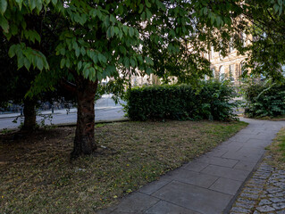 an outdoor scene featuring trees, a paved sidewalk, and a street in the background - Edinburgh, Scotland, United Kingdom