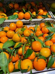 Fresh Oranges with Green Leaves on Market Stand